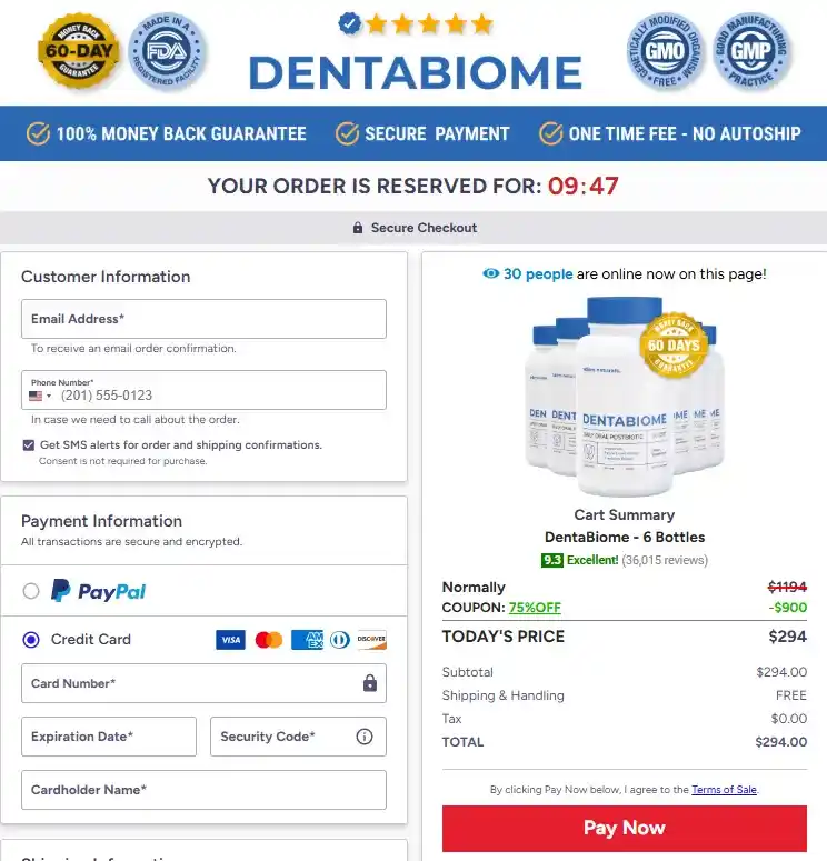 Secure checkout process with encrypted payment for safe online ordering
